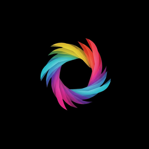 GizVault